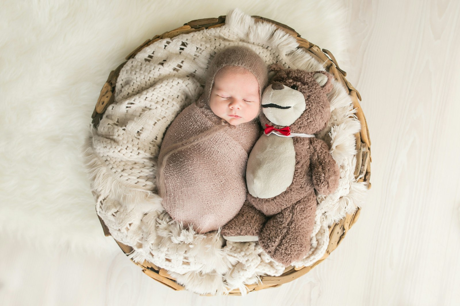 Baby Ted | 19