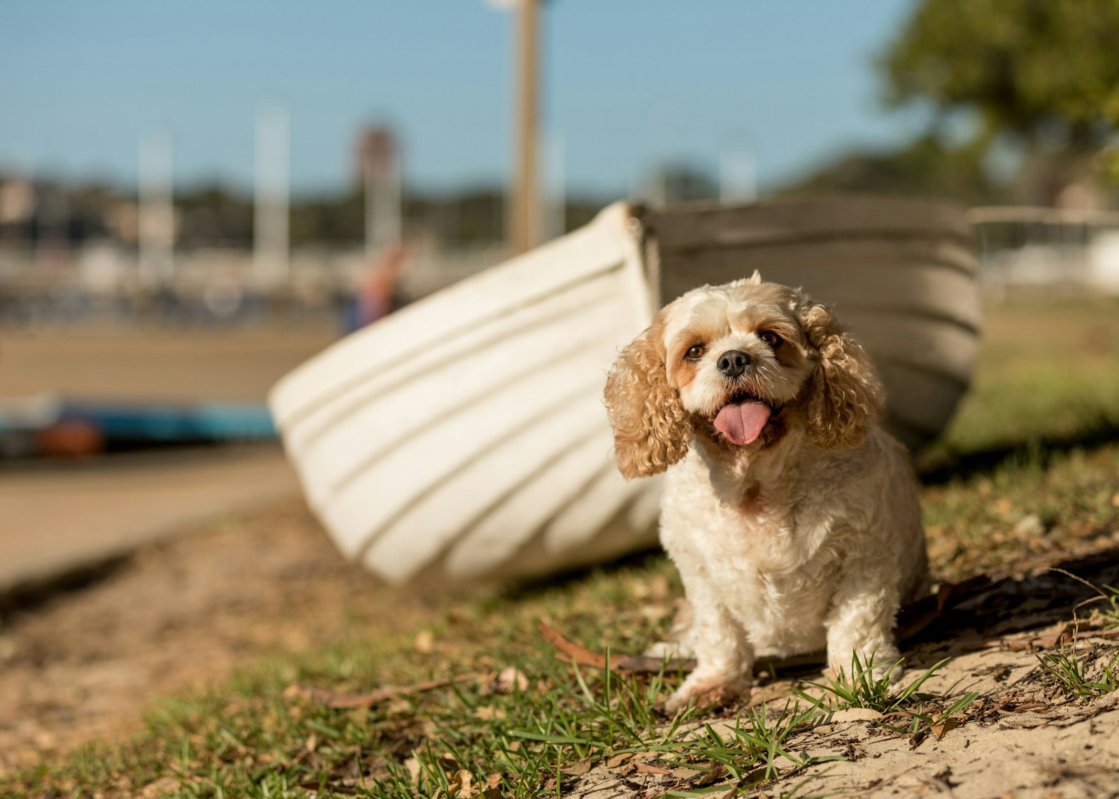 2018-0117-Tilly (17 of 38) - All Rights Reserved © 2017 Jo Lyons Photography
